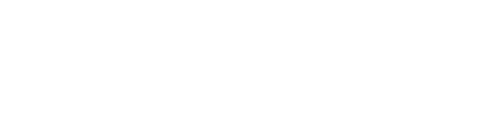 SOLLUNI